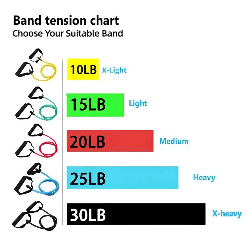 Bands with Handles - Strength Training Equipment for Home